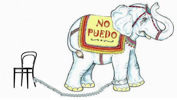 Complejos de Elefante